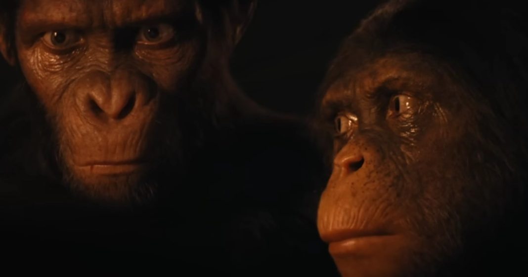 New TV Shows & Movies Being Added